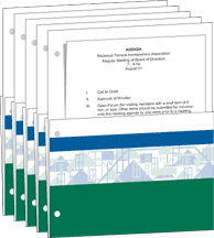 Binder document carriers